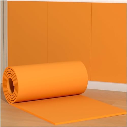 Garage Wall Protectors by Unknown