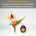 Air Jungles Car Air Freshener Vent Clip 3 Count, Hawaii Mahalo Scent, 4 ml Each - Image 2