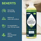 Puracy Professional Carpet Cleaner Machine Detergent, 4x Concentrated - Image 2
