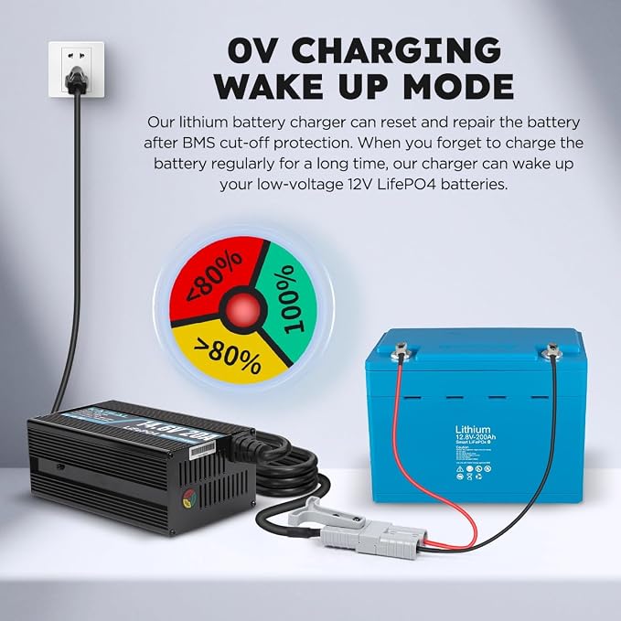12V 20A Lithium Battery Charger 14.6V LiFePO4 Battery Charger - Image 6