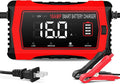 16 Amp Battery Charger, Car Battery Charger 6V 12V 24V Lithium, Battery by haisito