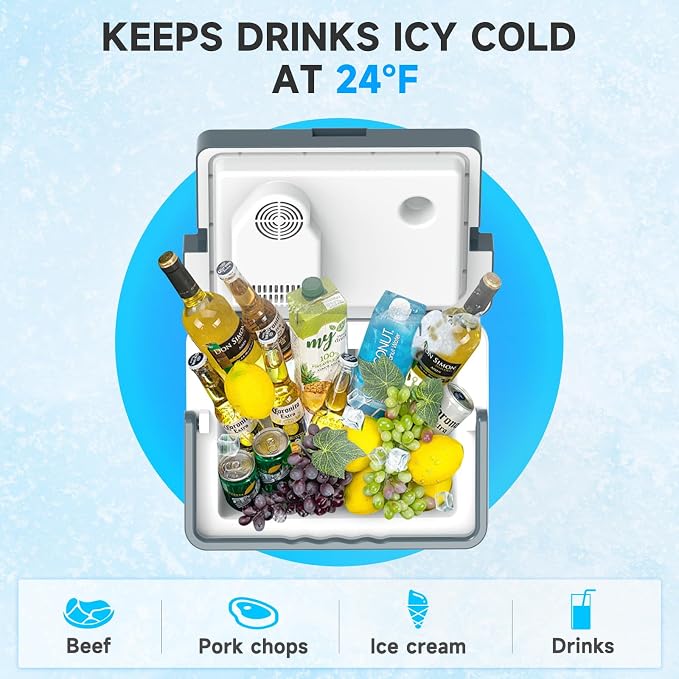 SHAREWIN Electric Cooler & Warmer - Image 4