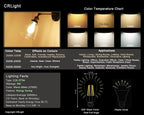 LED Edison Bulb 4W, Antique 40W Vintage Edison Bulb, E26 Light Bulb Non - Image 4