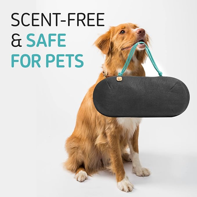Car Air Freshener - Image 5