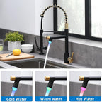 Fapully LED Kitchen Faucet - Image 2