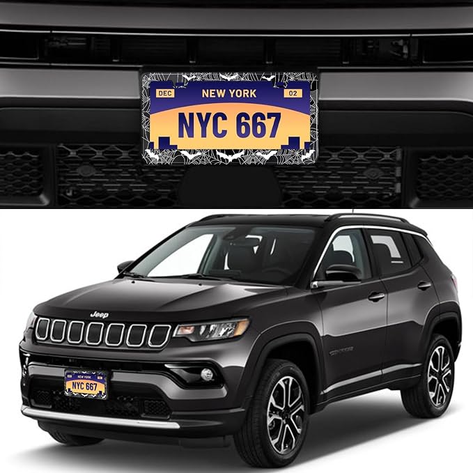 License Plate Frame for Bats and Spider Webs Stainless Steel License Plate - Image 2