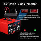 C20 Adjustable Battery Charger 12V 24V 36V 48V, 12A Pulses of High-Voltage - Image 6