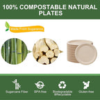 WELLIFE 100% Compostable Paper Plates 10 Inch, Biodegradable Bagasse, - Image 4