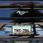 License Plate Frame for Bats and Spider Webs Stainless Steel License Plate - Image 5