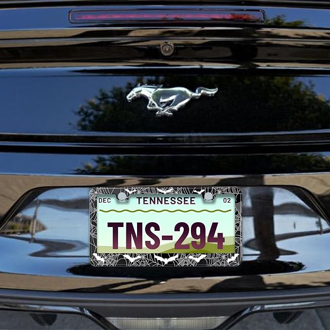 License Plate Frame for Bats and Spider Webs Stainless Steel License Plate - Image 5