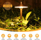 Gardencoin Solid Brass Low Voltage Pathway Lights, 12V AC/DC Heavy Duty LED - Image 2