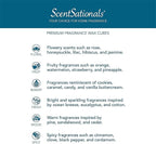 Scentsationals Wax Melts, Wax Cubes Strong Scent - Image 6