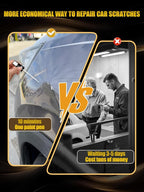 Champagne Silver Touch Up Paint Compatible - Image 7