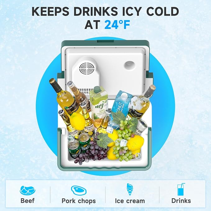 SHAREWIN Electric Cooler & Warmer - Image 4