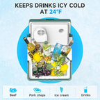 SHAREWIN Electric Cooler & Warmer - Image 4