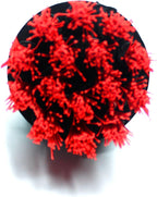 Maxshine M8 Medium-Duty Upholstery Carpet Brush - Image 5