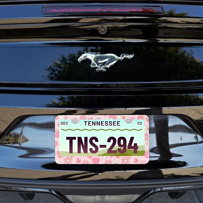 Flowers License Plate Frame Car Universal Stainless Steel Accessories - Image 7