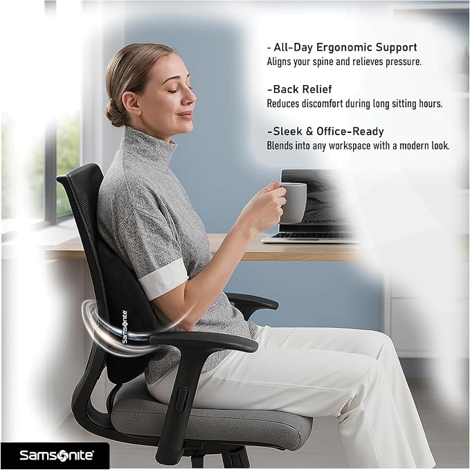 Samsonite Lumbar Support Pillow - Image 4