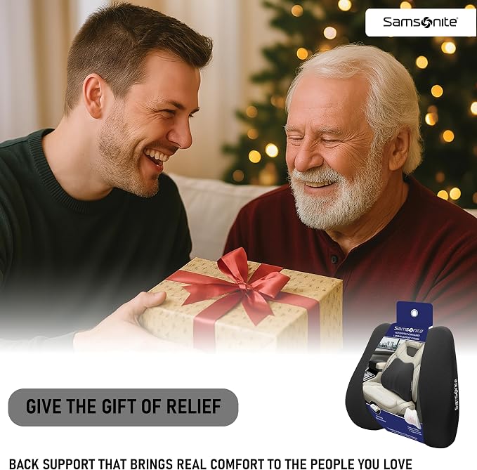 Samsonite Lumbar Support Pillow - Image 9