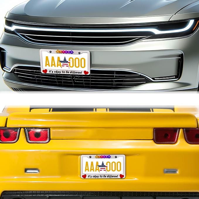 Automotive Exterior Accessories Multicolor License Plate Frames Autism It’s - Image 8