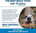 Best Bully Sticks 12 Inch Bully Sticks - Image 6