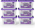W&E Choice Moisture Absorbers by WEChoice