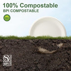 WELLIFE 100% Compostable Paper Plates 9 Inch, Biodegradable Bagasse, - Image 5